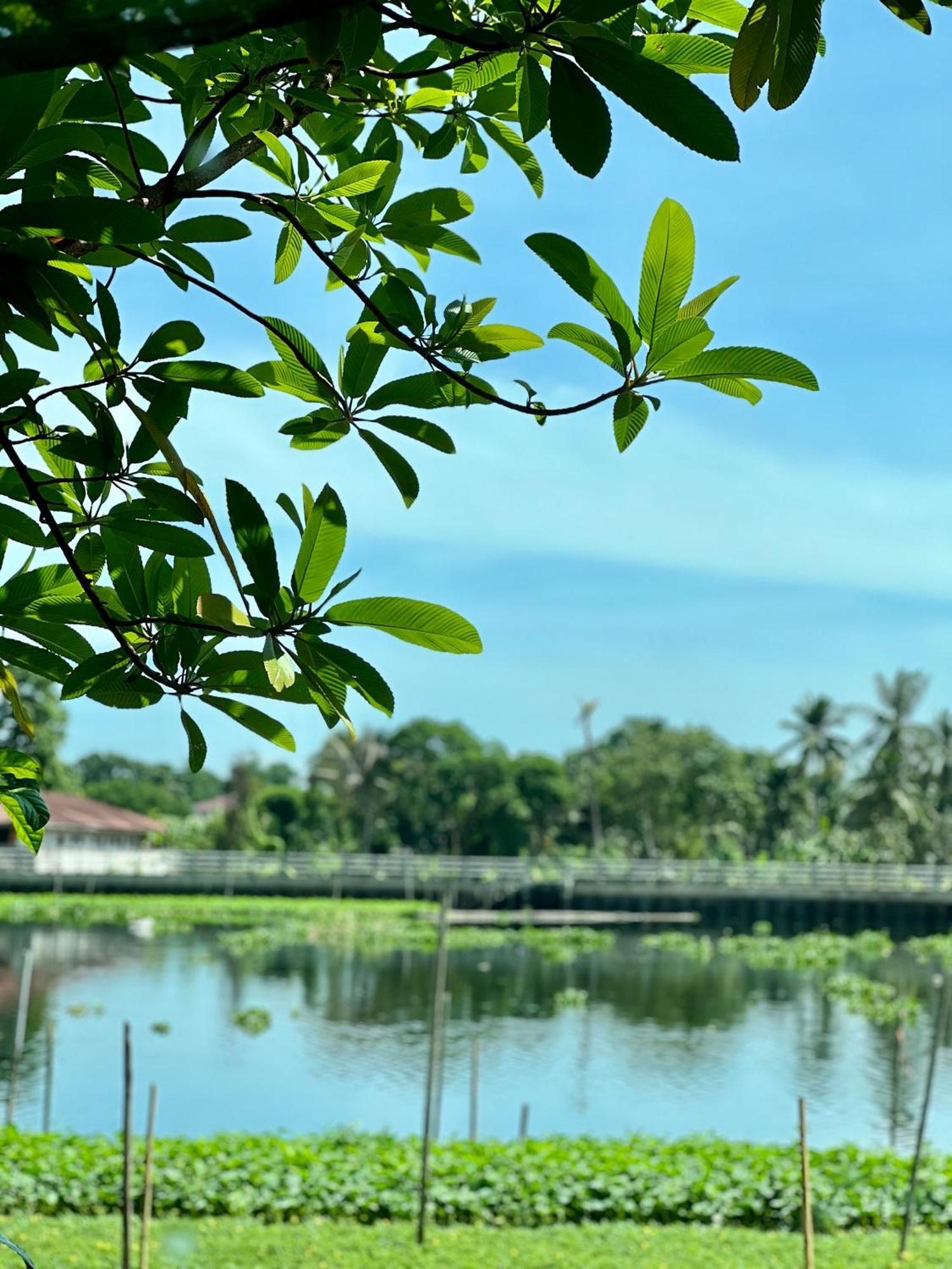 Mrt Riverside Sampran มิสเตอร์ที โฮมสเตย์-ช้องนาง Exteriör bild